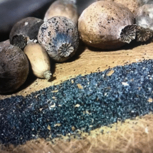 Alternative view of poppy pods seeds​